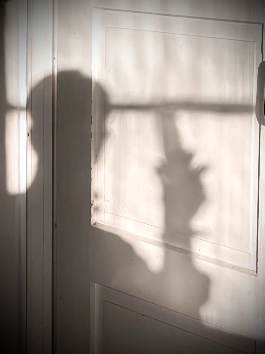 The shadow of a person cast across a sunlit white door, a raised arm and door handle both visible in the silhouette.