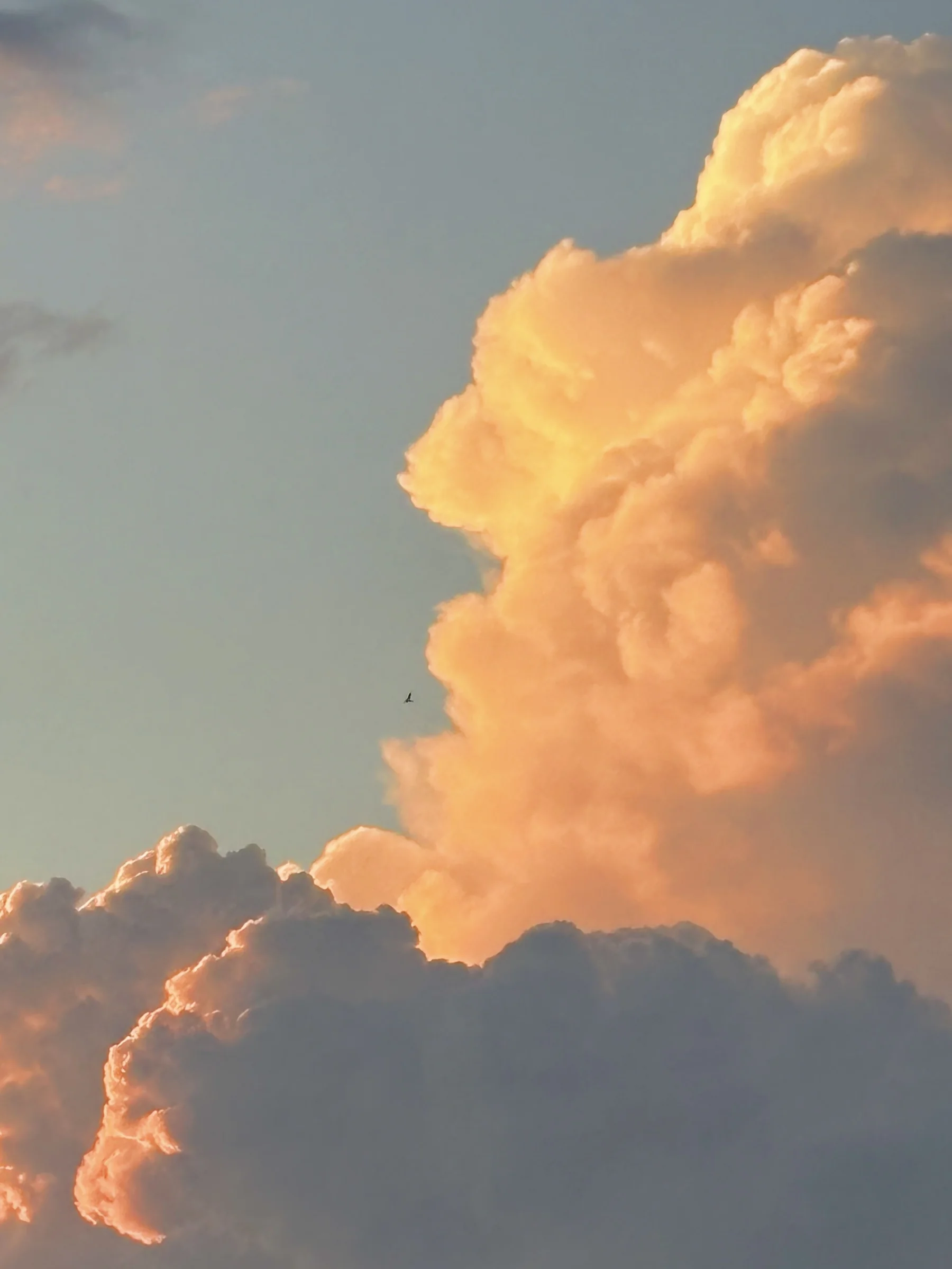 A towering storm cloud lit from within by orange sunset light, a single bird in silhouette against it.