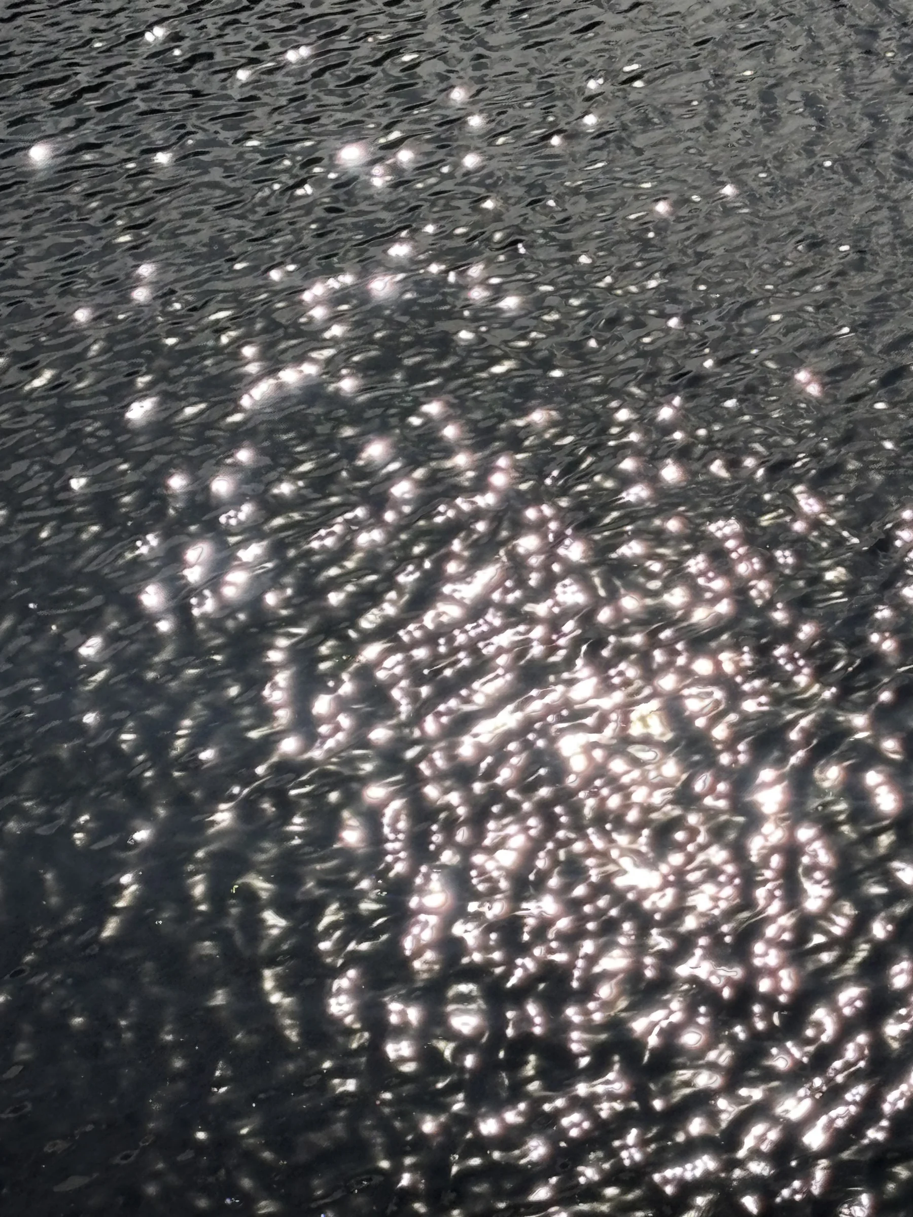 Dark, rippling water with sunlight scattering across its surface in scattered bright glints.