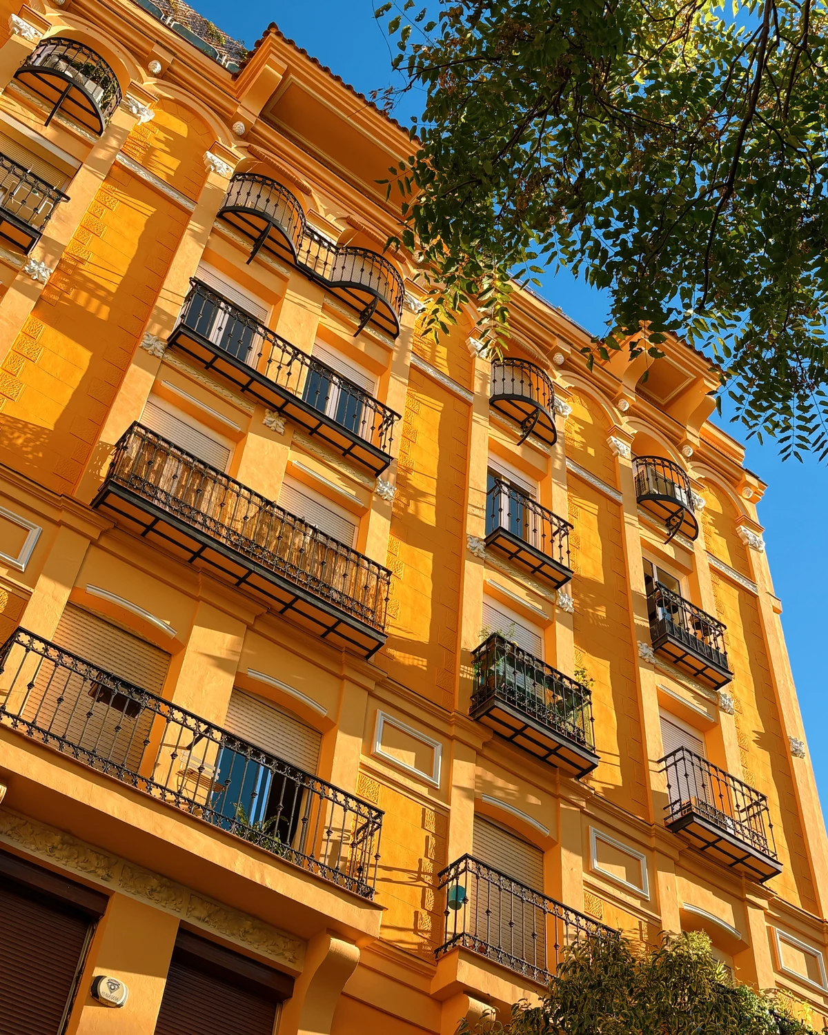 Bright golden-yellow building facade seen through tree branches