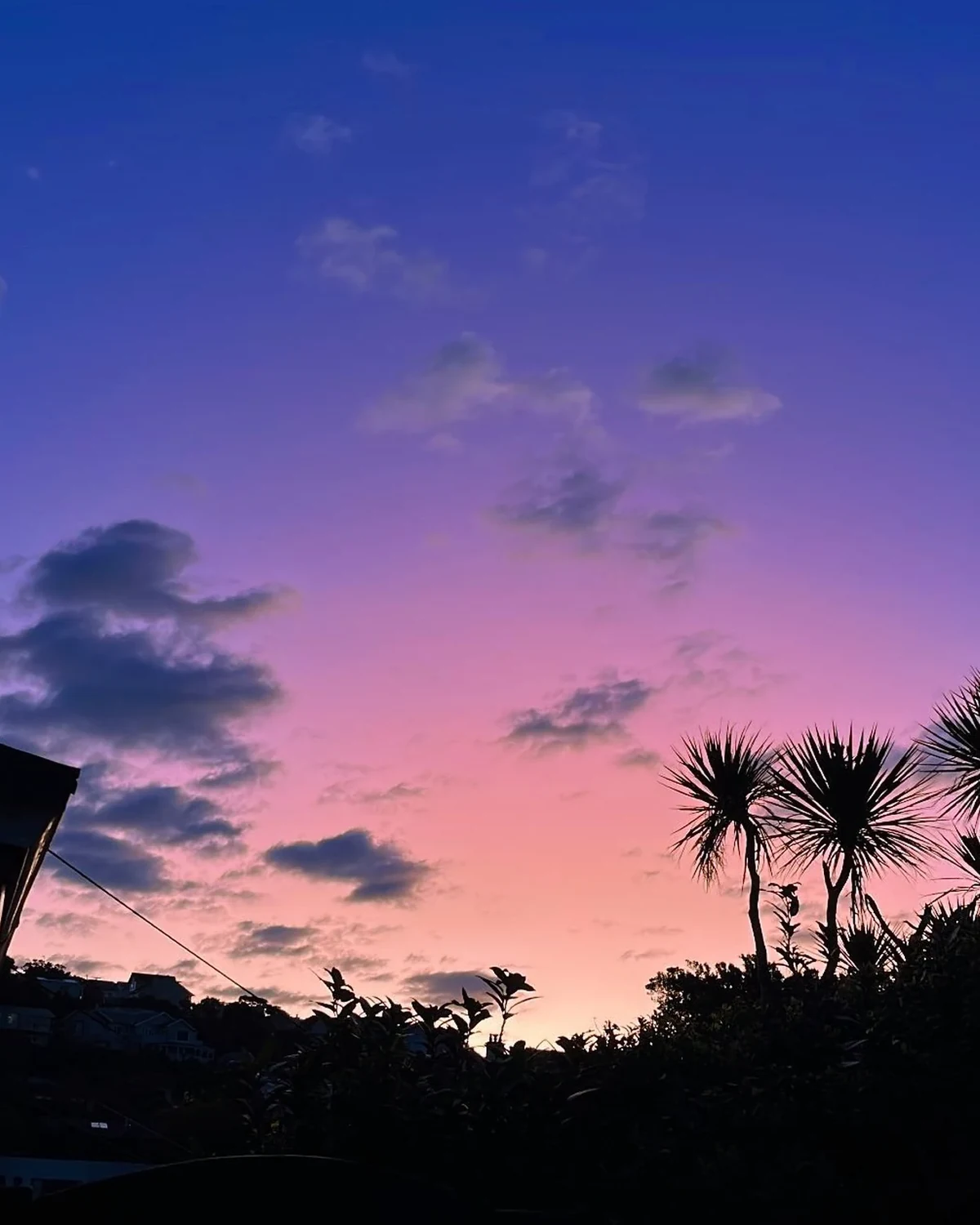 Blue dusk sky deepening through violet and pink to a warm horizon, silhouetted palm trees and a rooftop