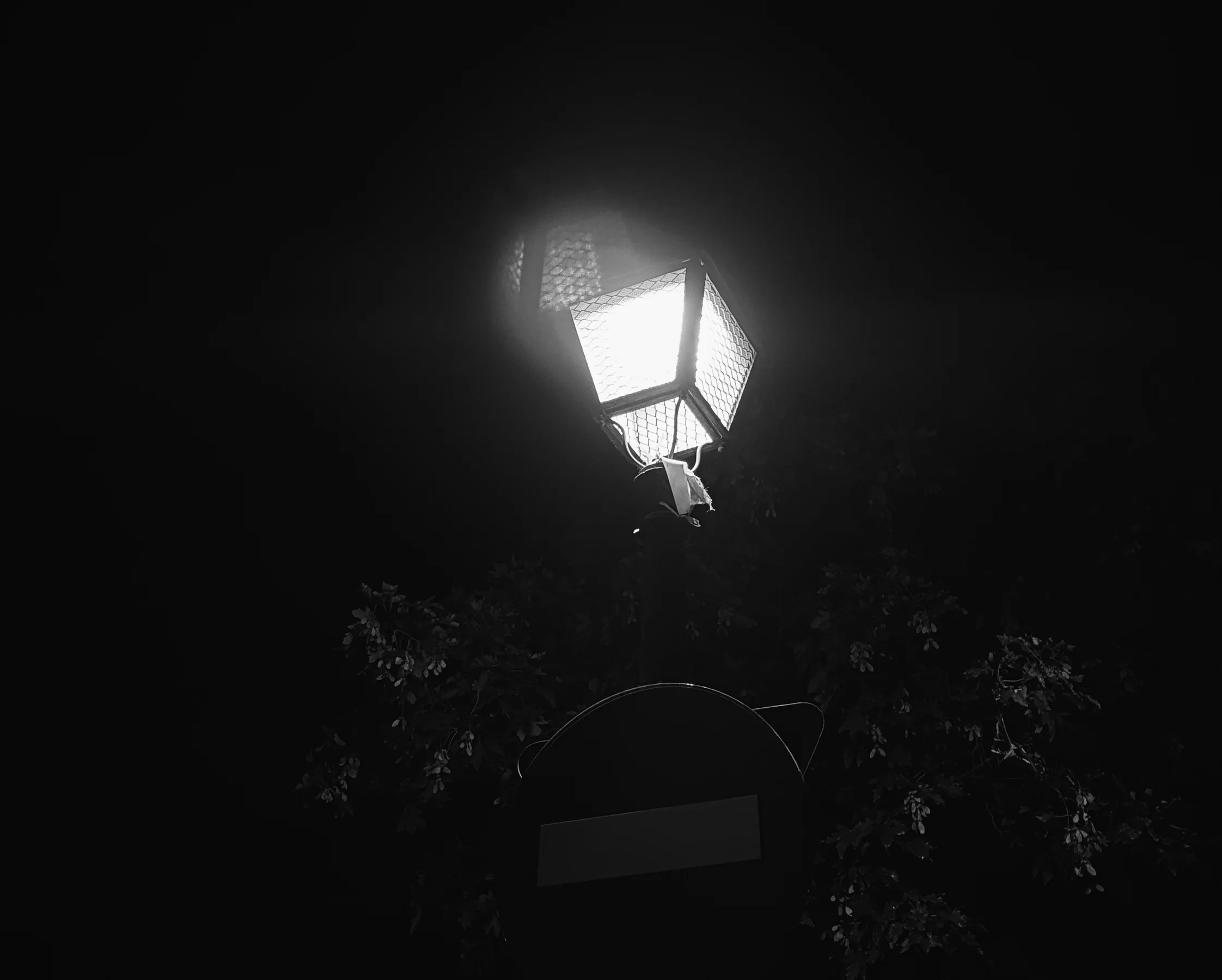 A single lamp glowing against near-total black, tree branches visible, black and white, Madrid